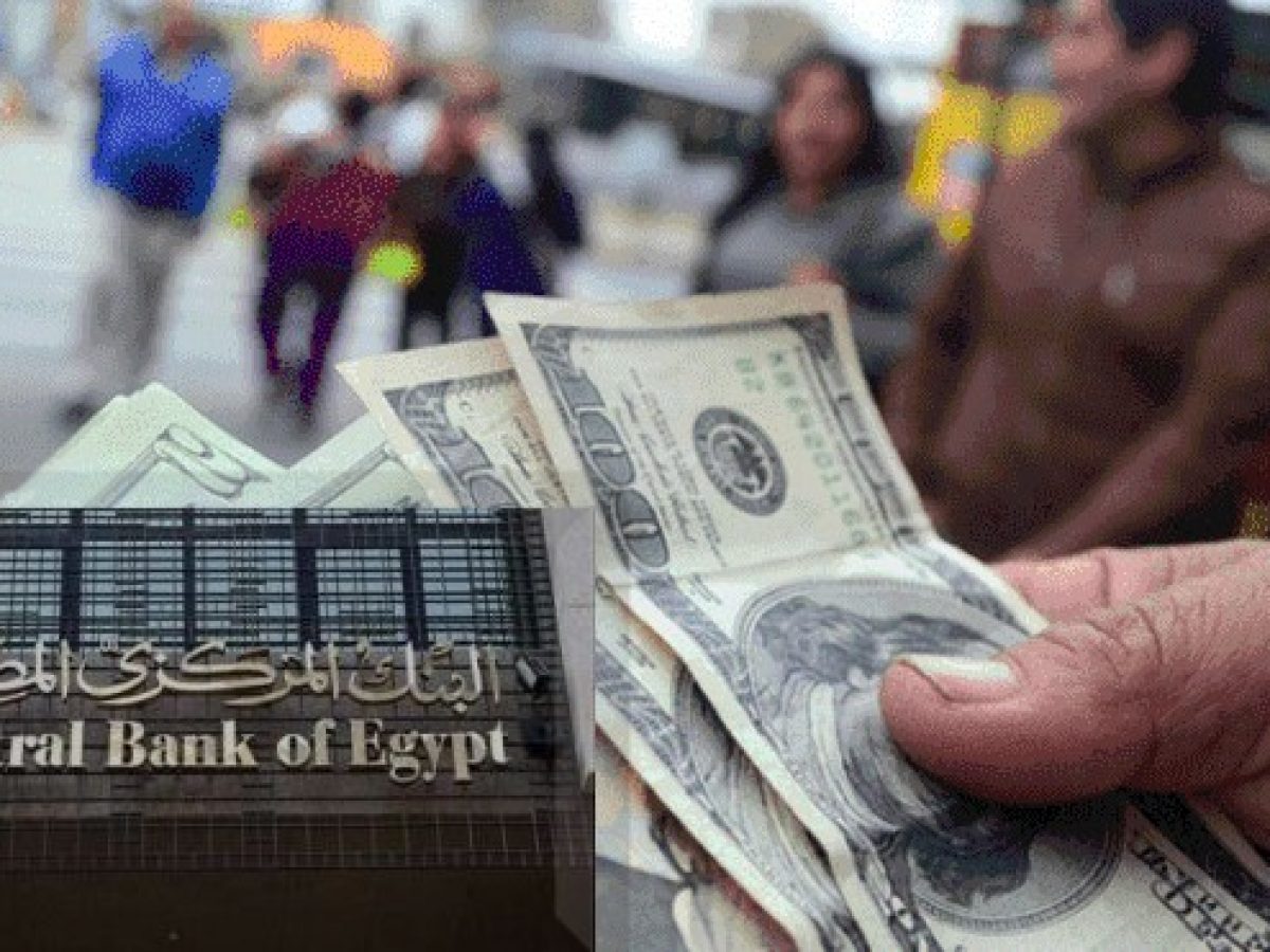 سعر الدولار الآن بالقطاع المصرفي المصري تقرير أسعار الأربعاء 3