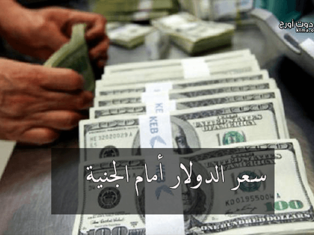 الورقة الخضراء سعر الدولار أمام الجنية اليوم الخميس 2 5 2019 في