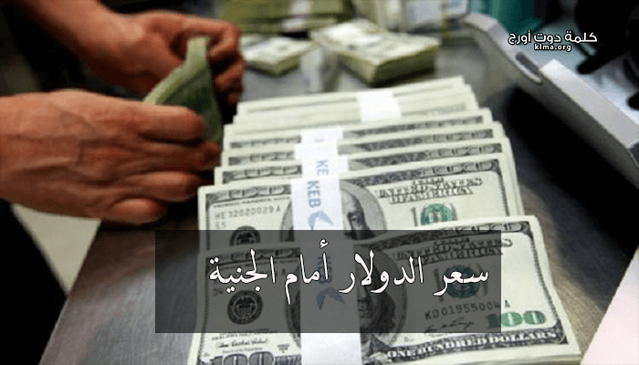 الورقة الخضراء سعر الدولار أمام الجنية اليوم الخميس 2 5 2019 في